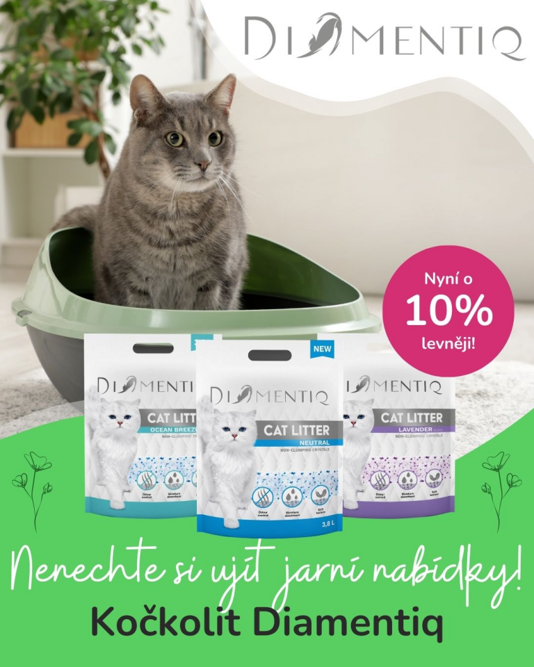 [OFERTA SPECJALNA] Diamentiq