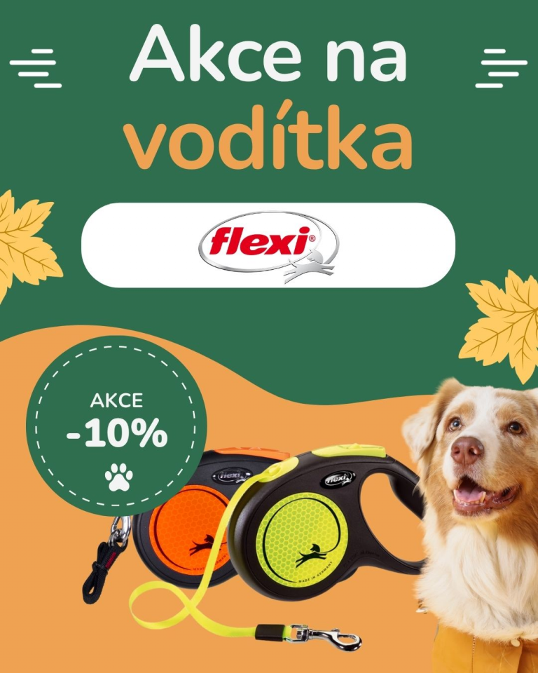[OFERTA SPECLAJNA] Wrzesień flexi