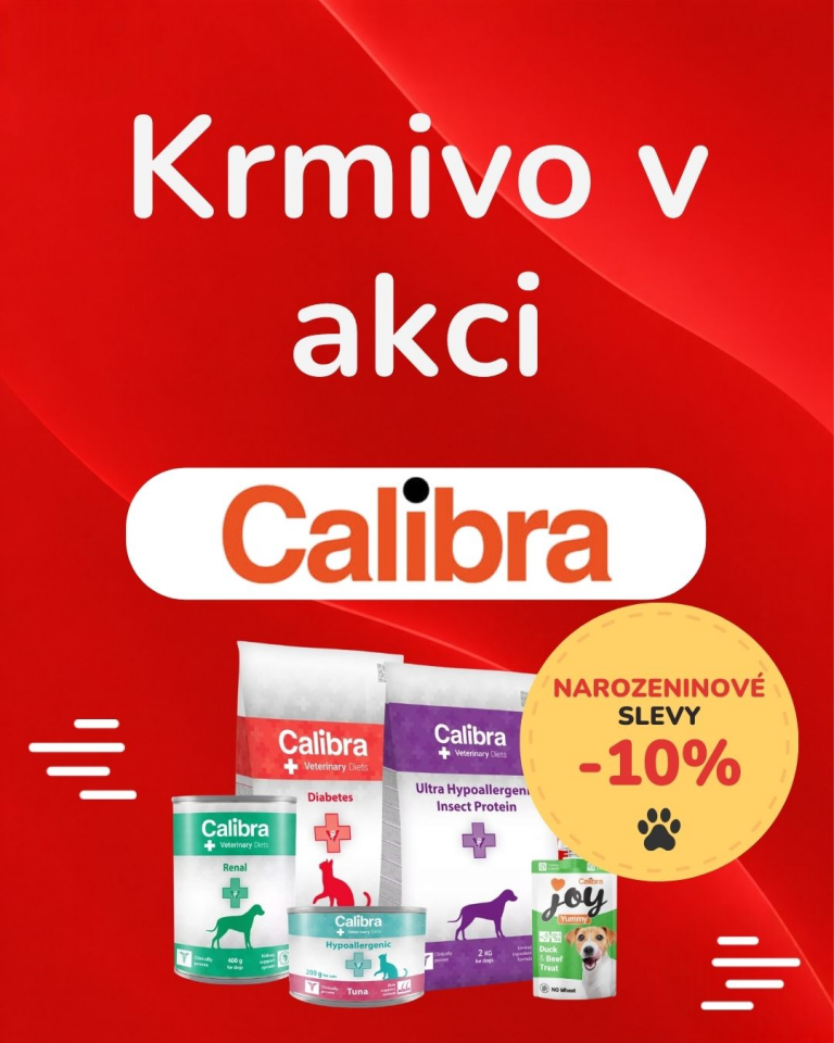 OFERTA SPECJALNA Sierpień Calibra