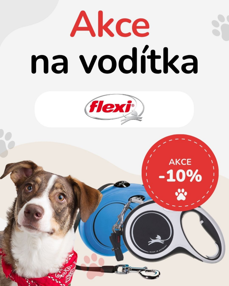 OFERTA SPECJALNA Sierpień flexi