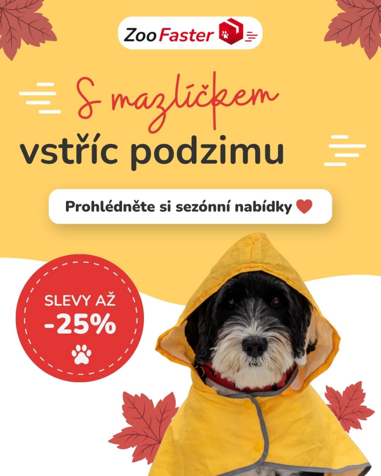 [OFERTA SPECJALNA] Wrzesień - Oferta jesienna