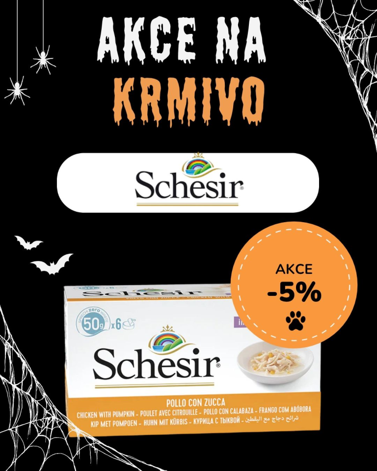 [OFERTA SPECJALNA] PAZDZIERNIK - Schesir