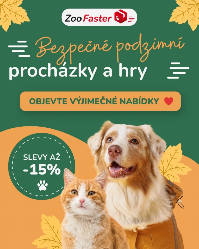 [OFERTA SPECLAJNA] Wrzesień Bezpieczna jesień 