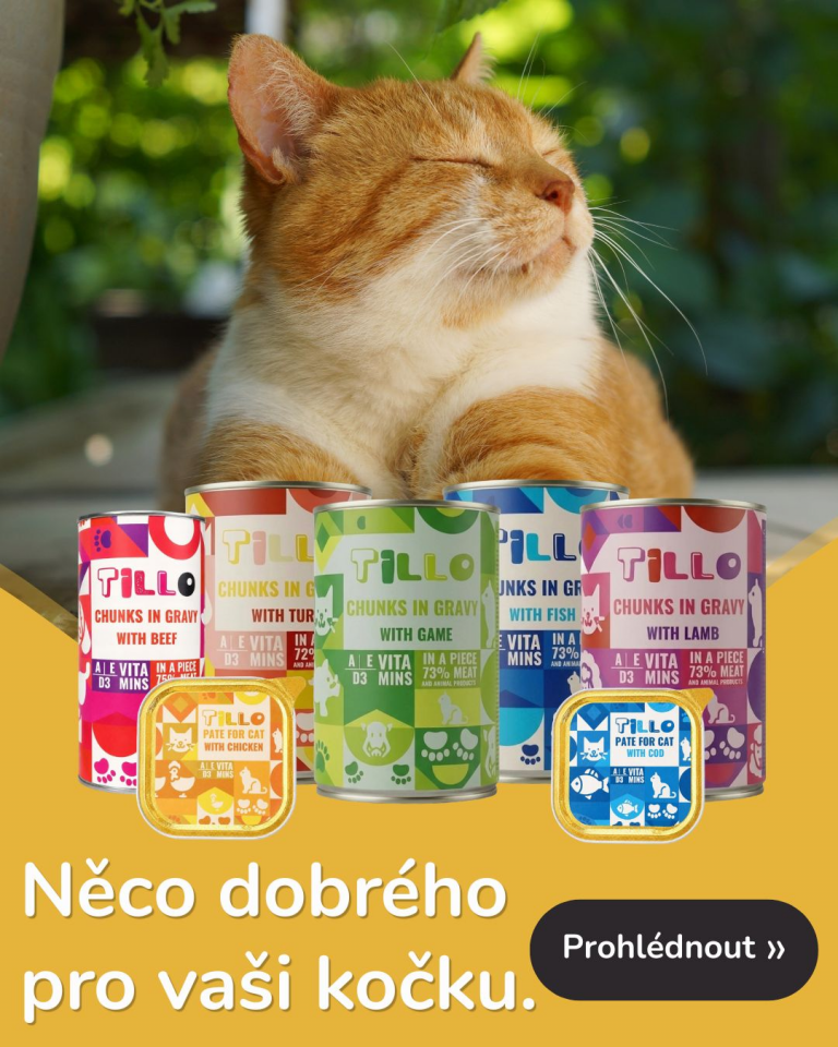 Tillo