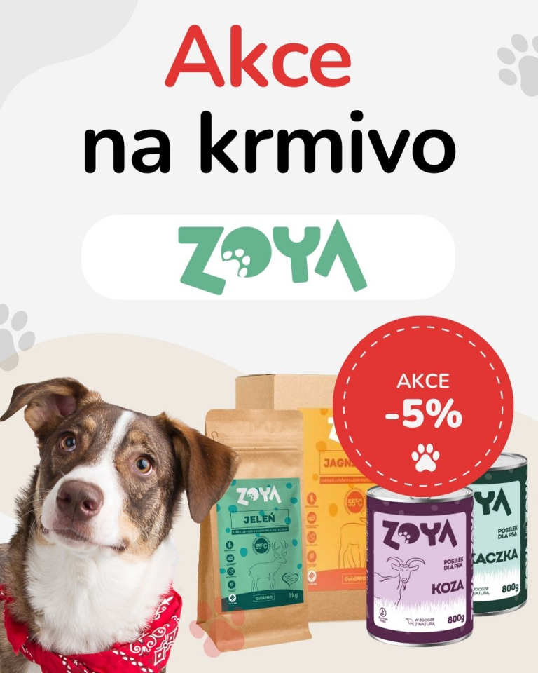 OFERTA SPECJALNA Sierpień Zoya