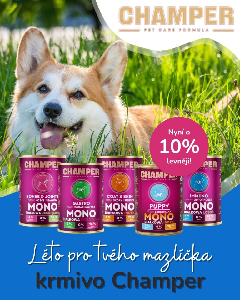 [OFERTA SPECJALNA] Lipiec