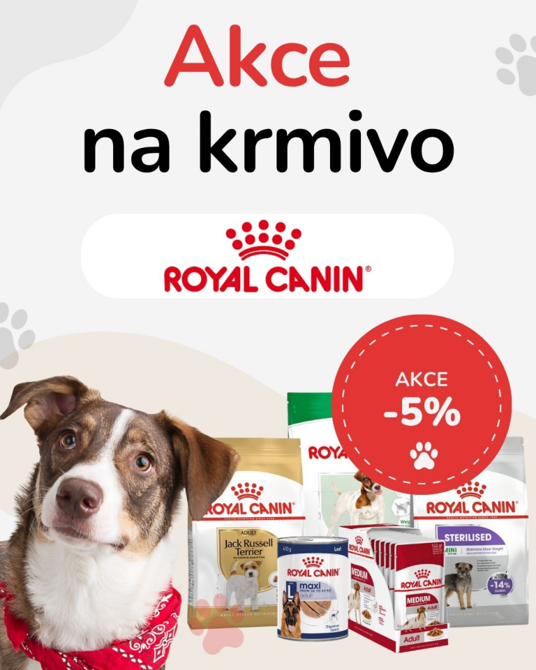 OFERTA SPECJALNA Sierpień Royal Canin