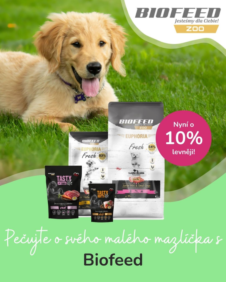 [Oferta specjalna] Szczenięta i kocięta Biofeed