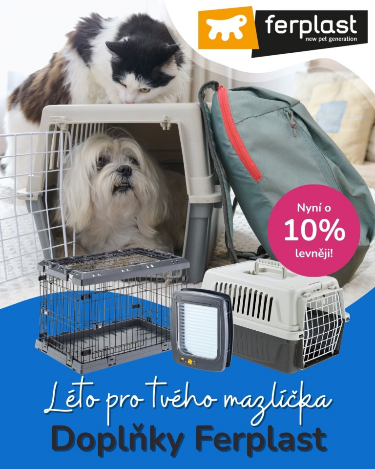 [OFERTA SPECJALNA] Lipiec lato w pełni