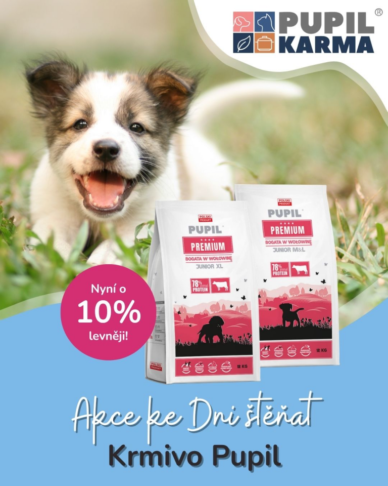 [OFERTA SPECJALNA] Dzień szczeniąt Pupil