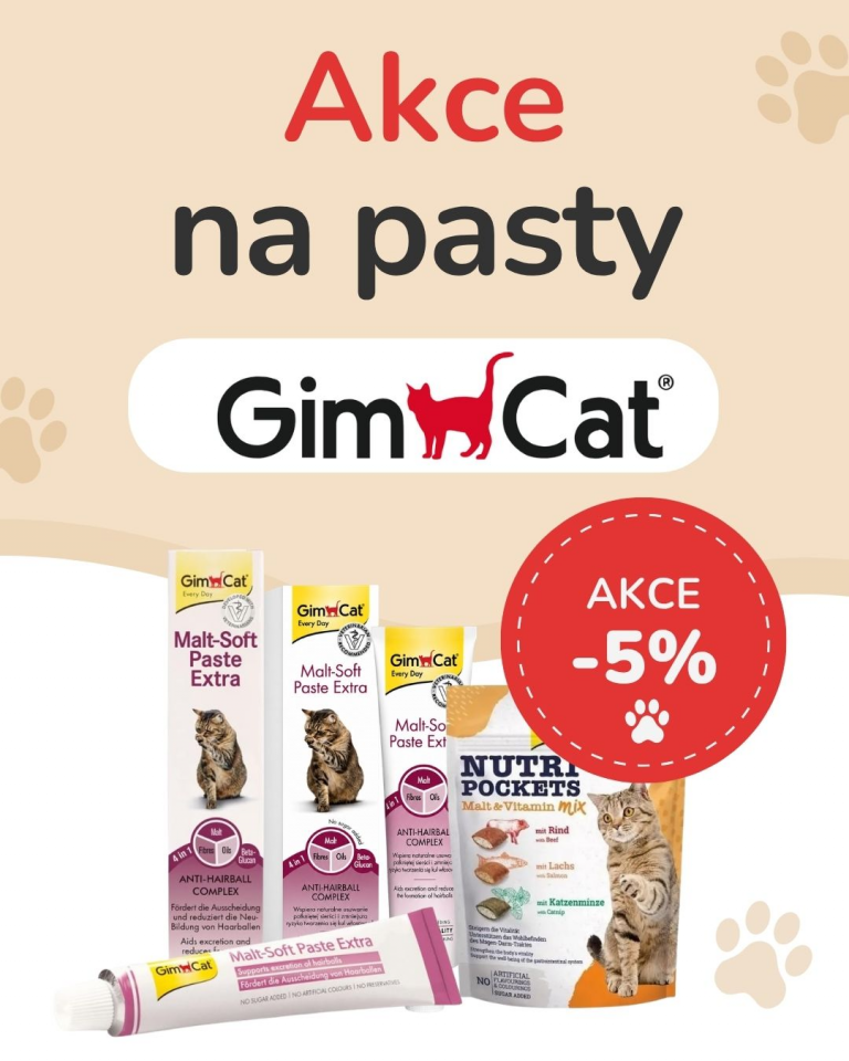 [OFERTA SPECJALNA] PAŹDZIERNIK - Gimcat