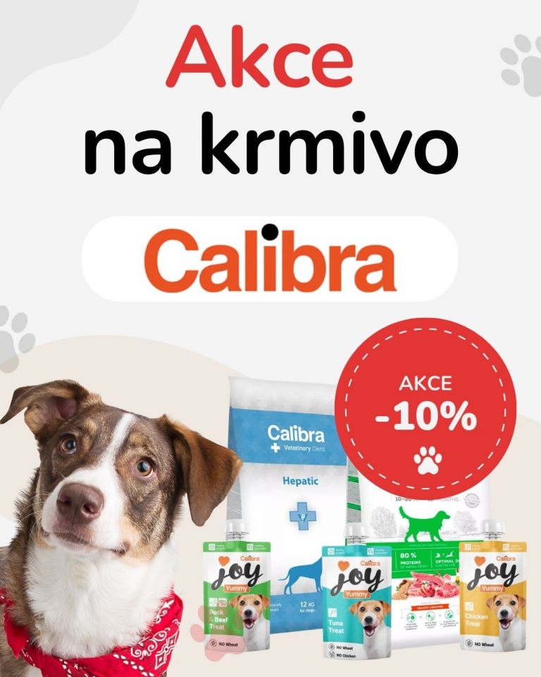 OFERTA SPECJALNA Sierpień Calibra