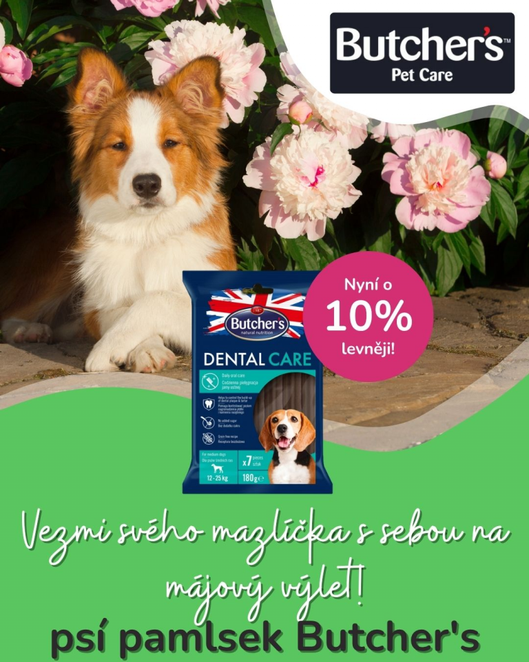 [OFERTA SPECJALNA] Majówka z pupilem