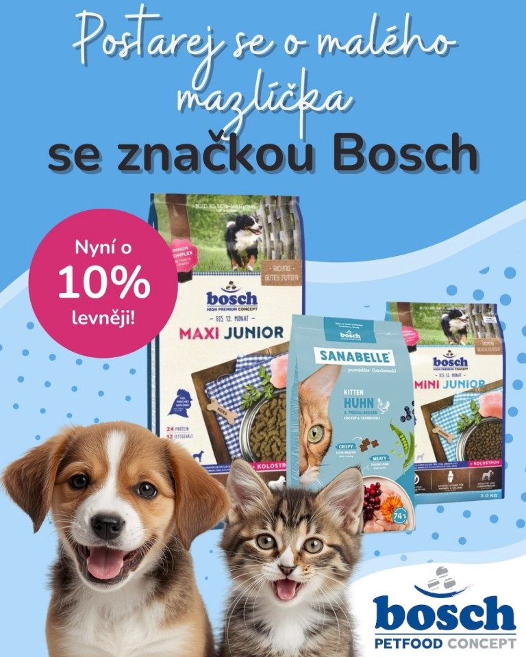 [OFERTA SPECJALNA] Czerwiec - Bosh