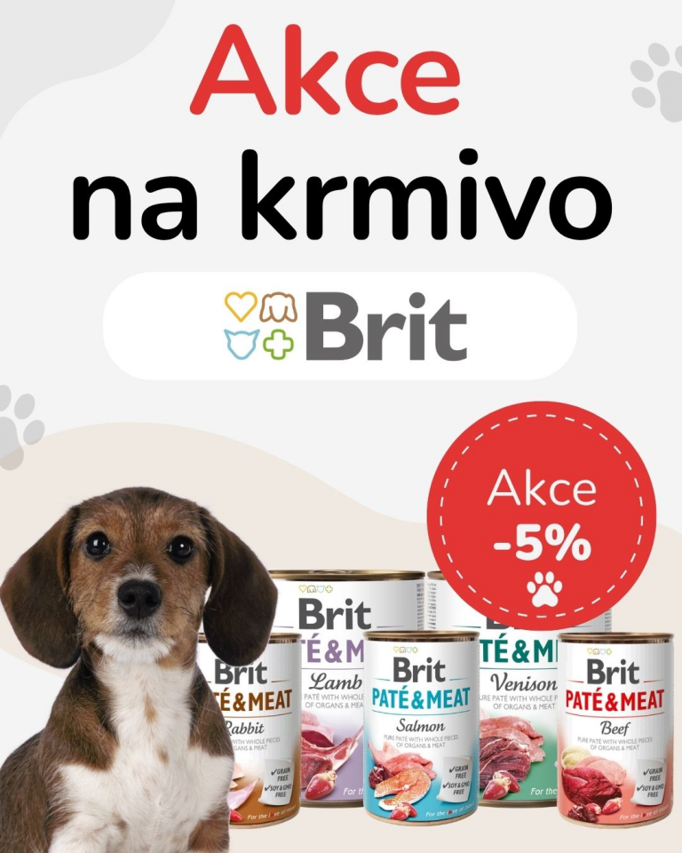 [OFERTA SPECJALNA] Wrzesień - Brit