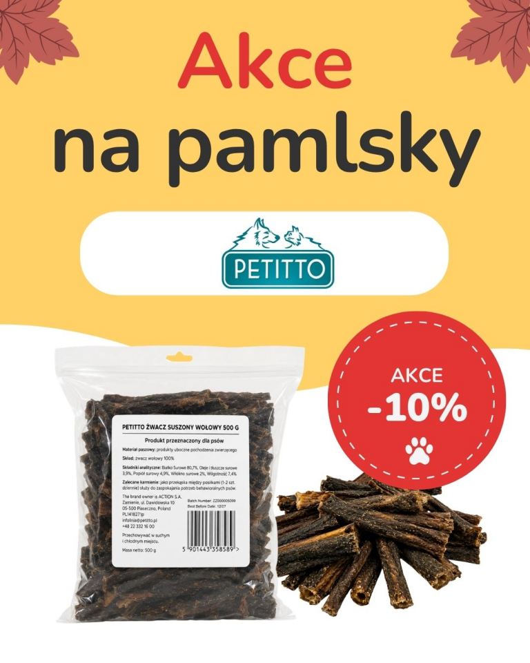 [OFERTA SPECJALNA] Wrzesień - Petitto