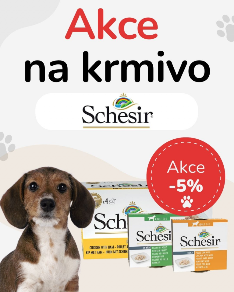 [OFERTA SPECJALNA] Wrzesień - Schesir