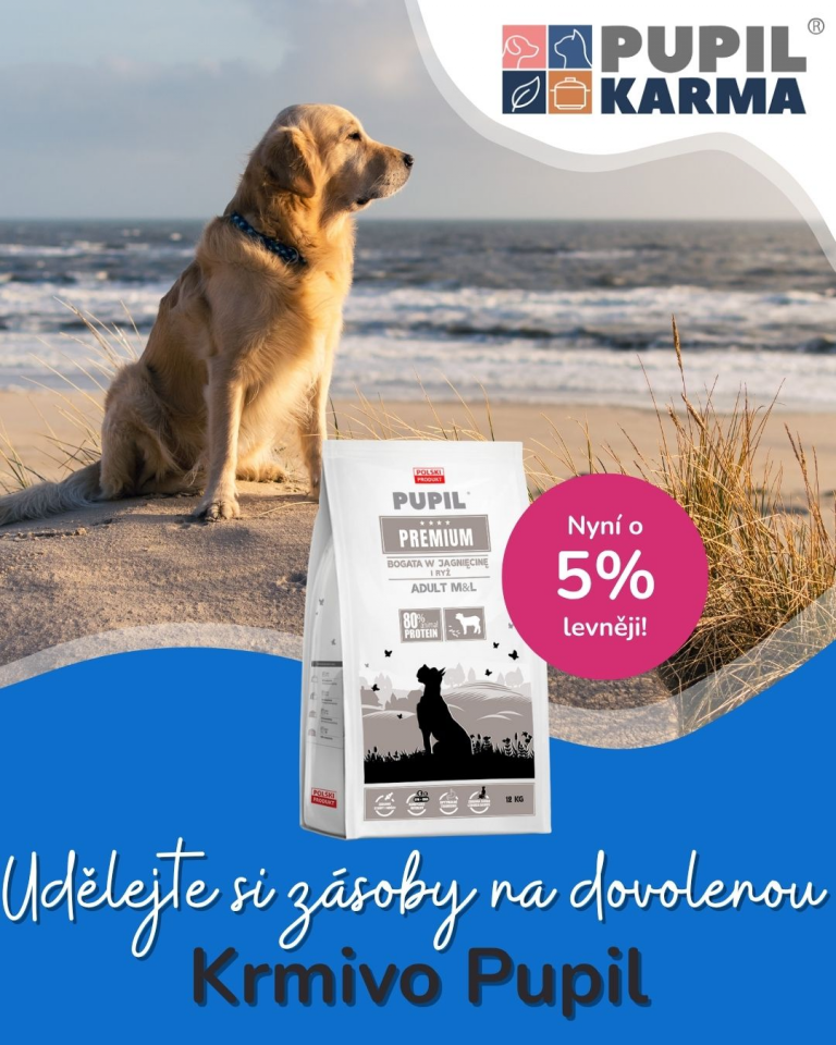 [OFERTA SPECJALNA] Czerwiec Pupil