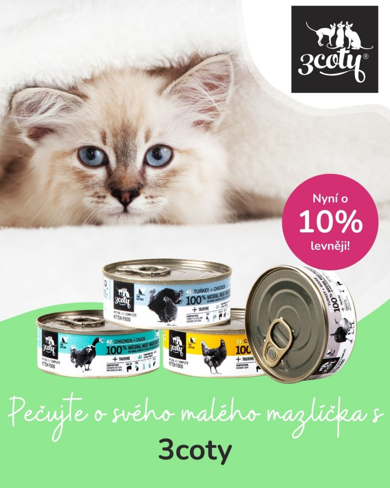 [Oferta specjalna] Szczenięta i kocięta 3coty