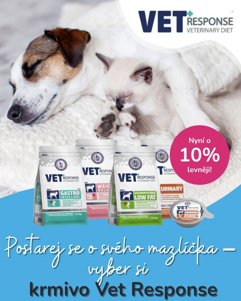 [OFERTA SPECJALNA] Maj Dzień praw zwierząt