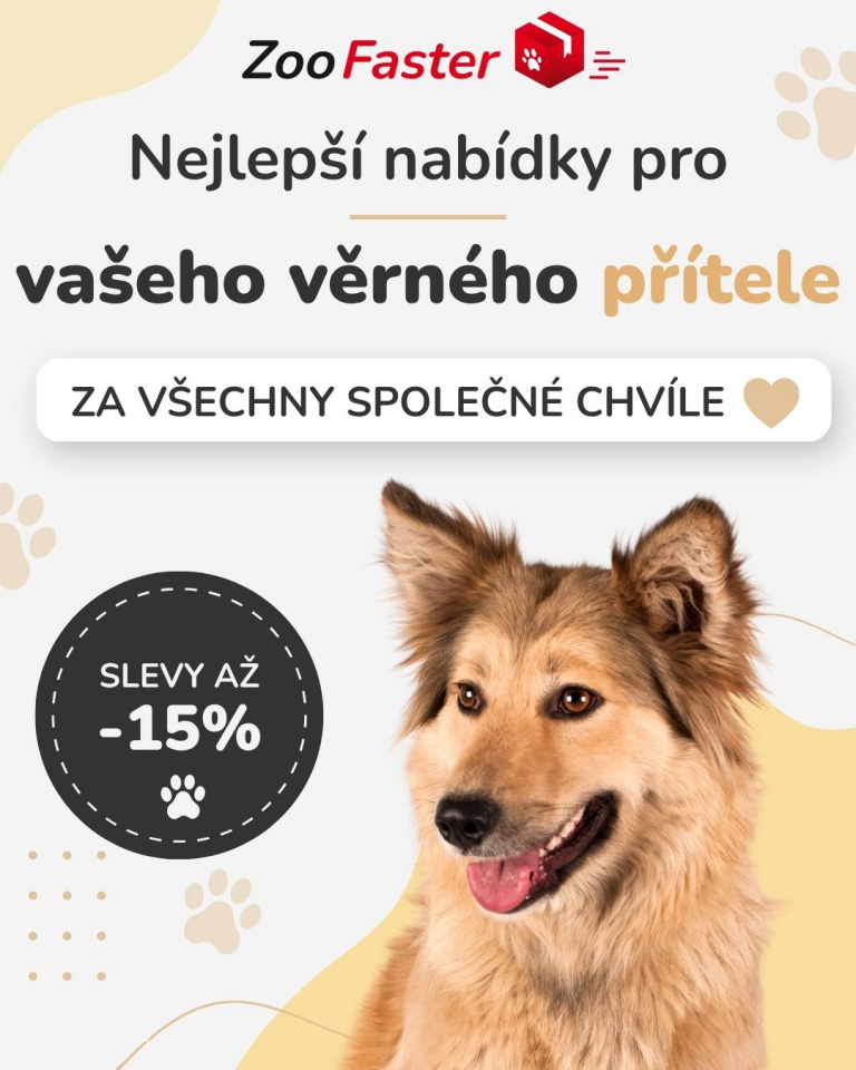 [OFERTA SPECJALNA] Październik - Dzień kundelka