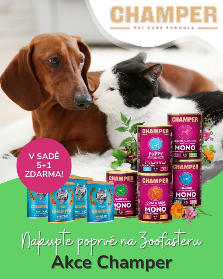 [OFERTA SPECJALNA] Maj pierwsze zakupy