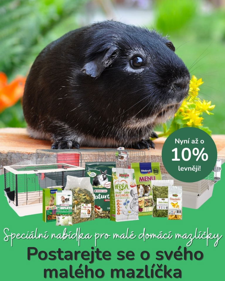 [OFERTA SPECJALNA] Lipiec Mali pupile