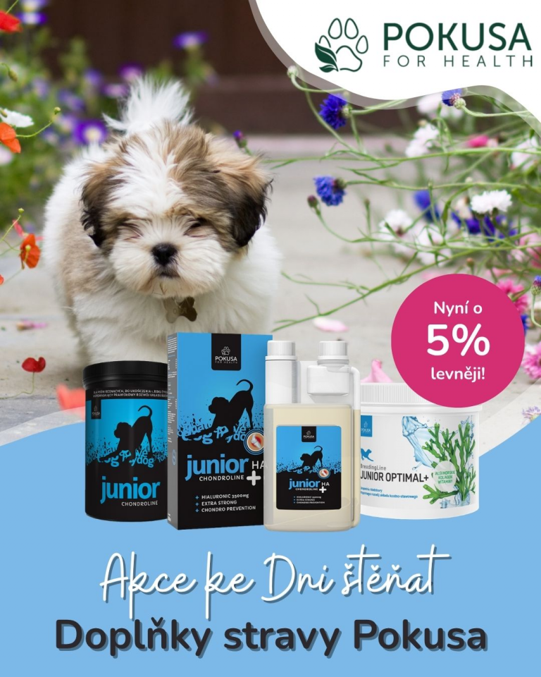 [OFERTA SPECJALNA] Dzień szczeniąt Pokusa