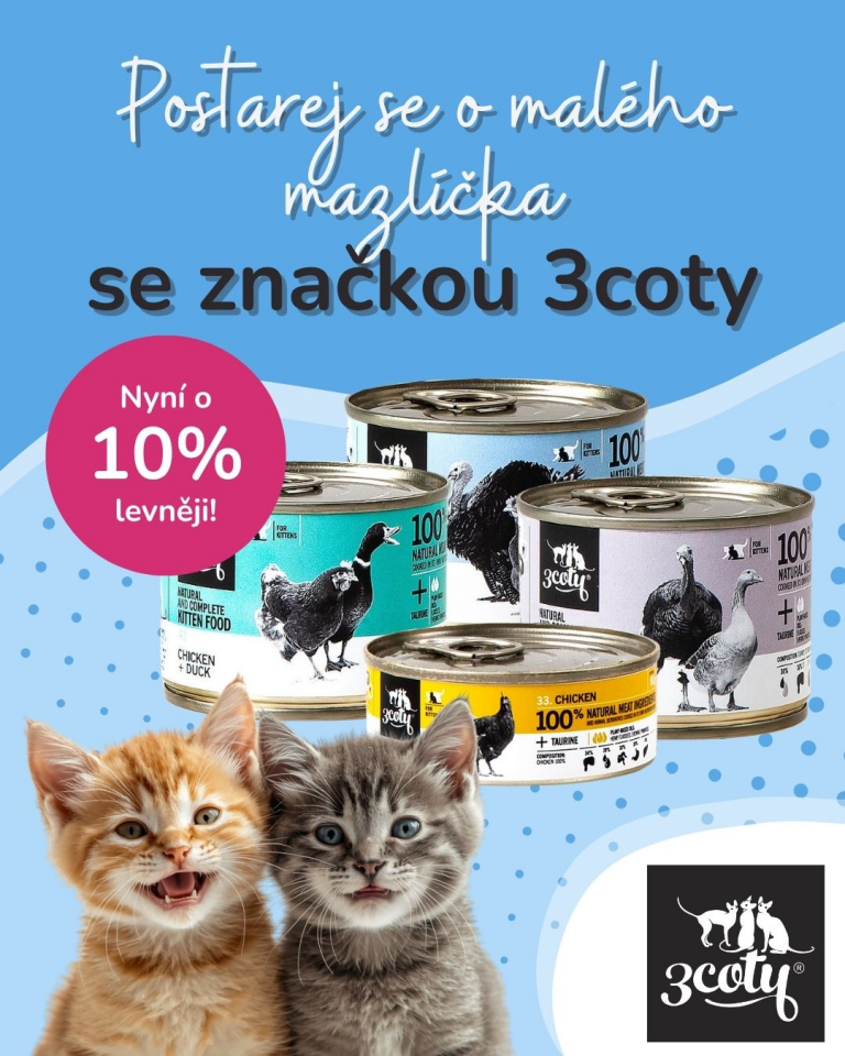 [OFERTA SPECJALNA] Czerwiec - 3coty
