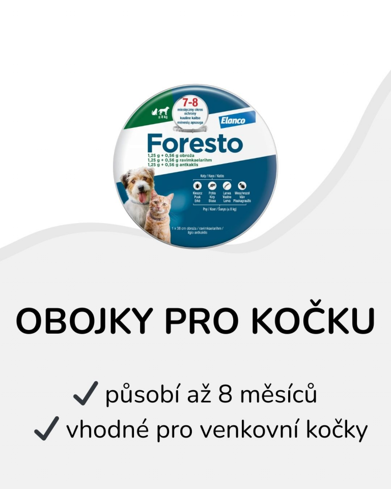 obojky pro kocku