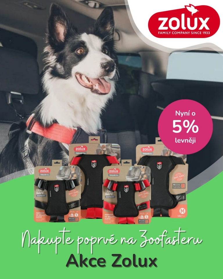 [OFERTA SPECJALNA] Maj pierwsze zakupy