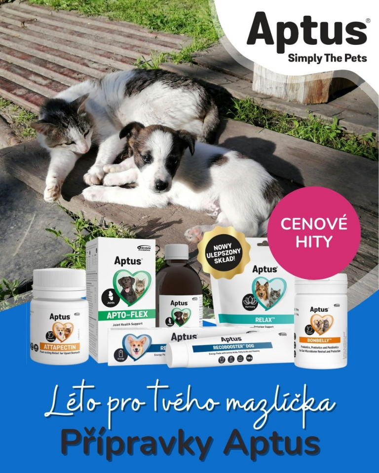 [OFERTA SPECJALNA] Lipiec