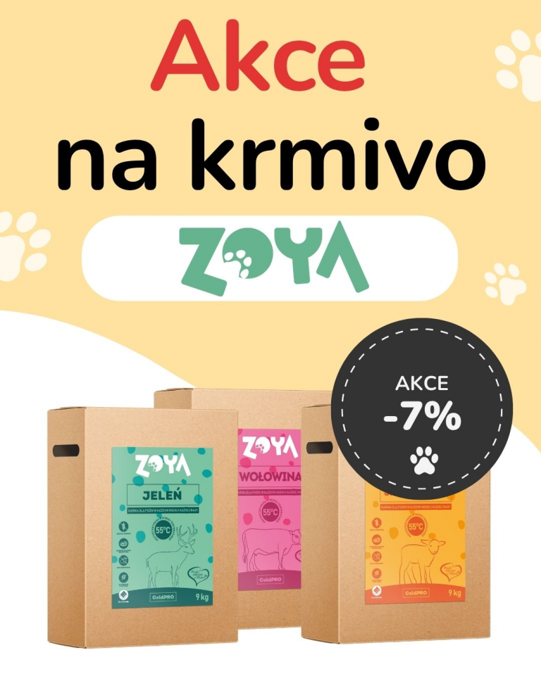 [OFERTA SPECJALNA] Październik - Zoya