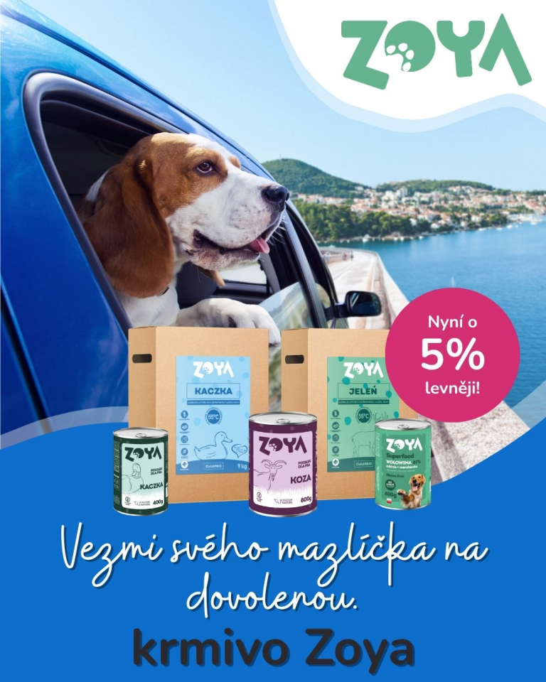 [OFERTA SPECJALNA] Czerwiec -Zoya