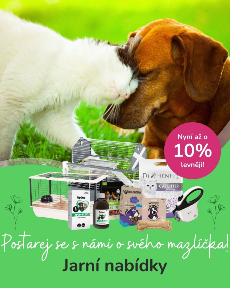 [OFERTA SPECJALNA] Wiosna