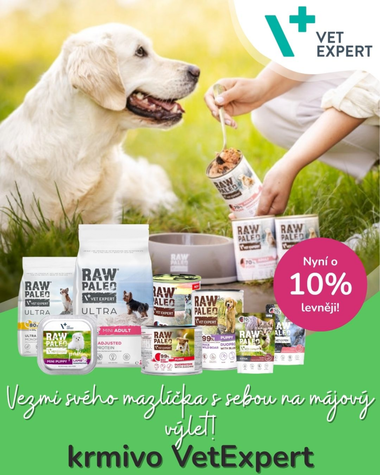 [OFERTA SPECJALNA] Majówka