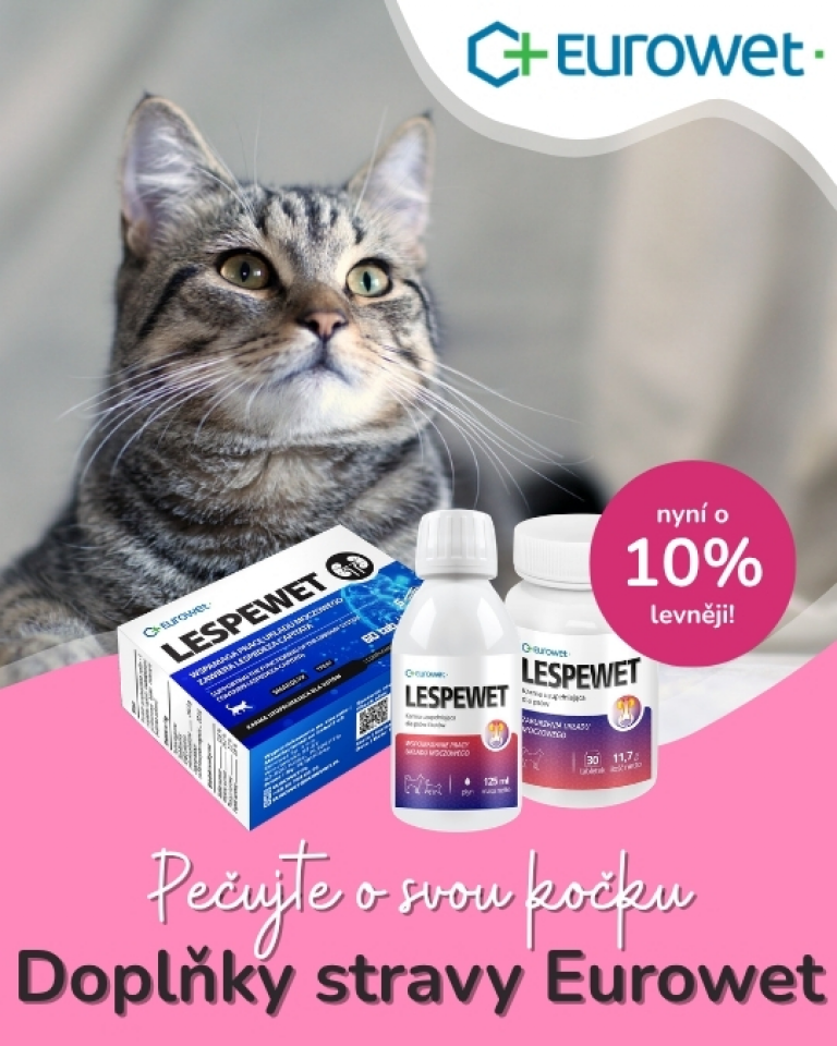 [OFERTA SPECJALNA] Lipiec - Eurowet