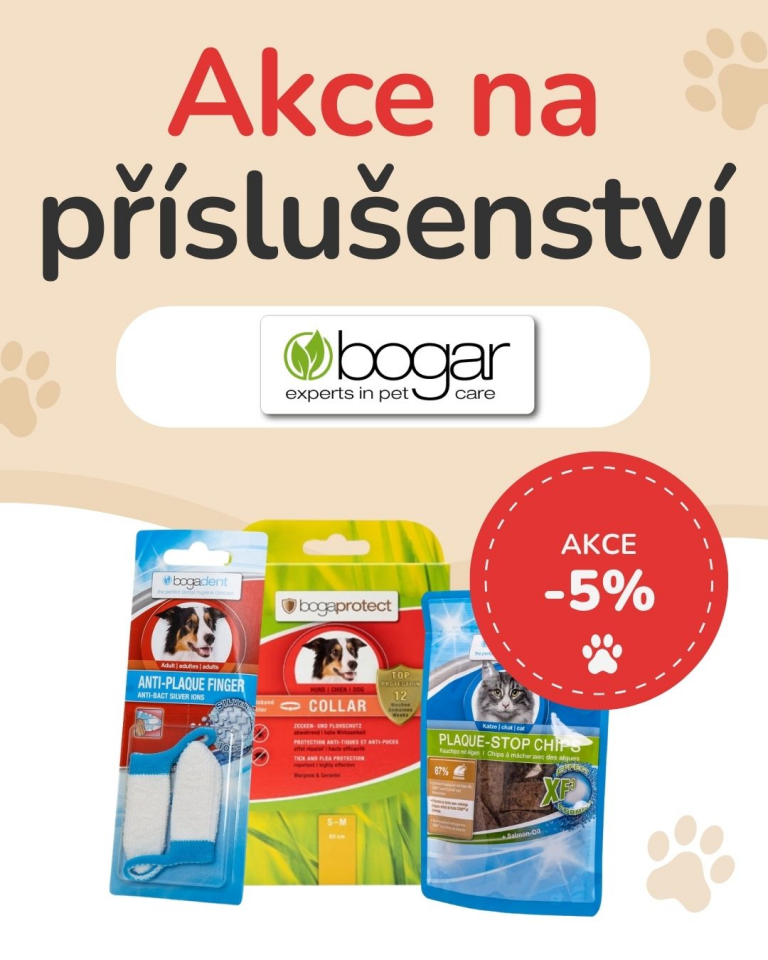 [OFERTA SPECJALNA] Październik - Bogar