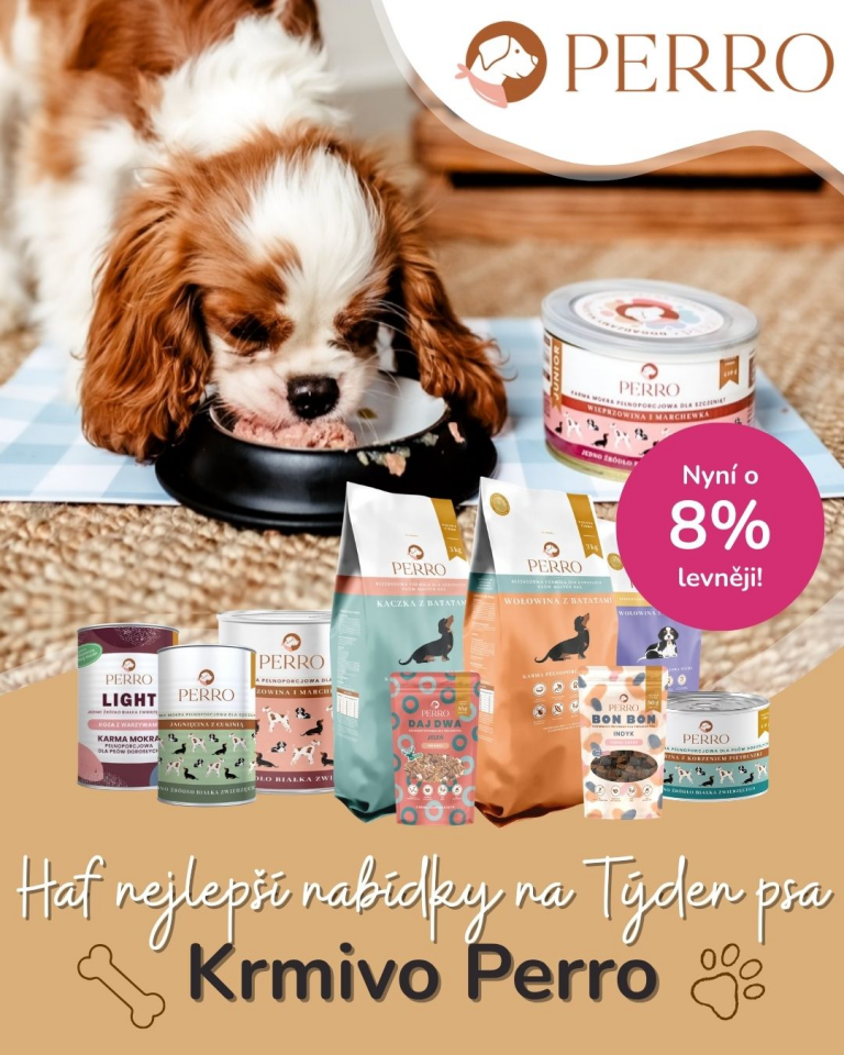 [OFERTA SPECJALNA] Czerwiec - Perro