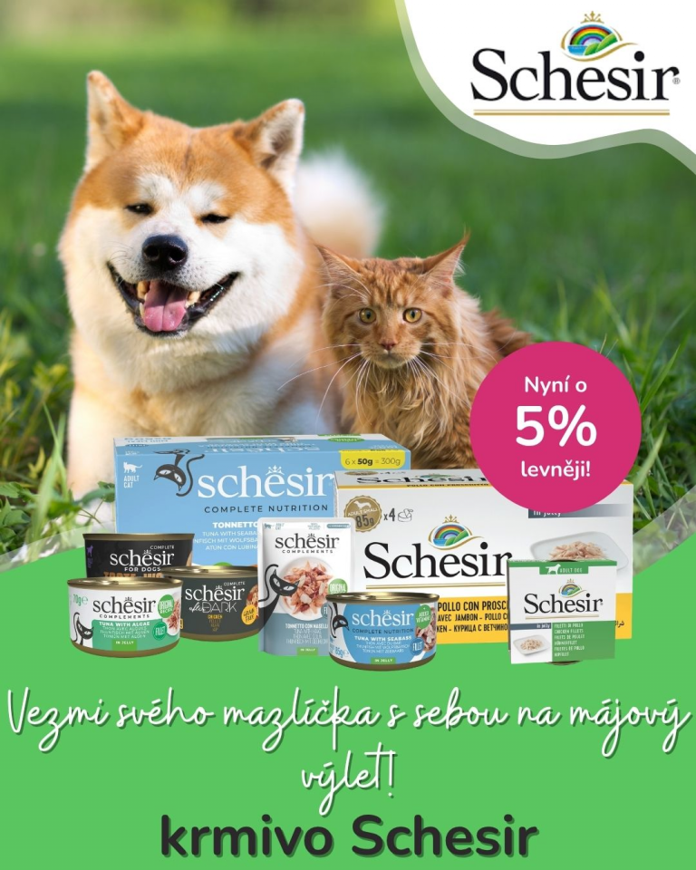 [OFERTA SPECJALNA] Majówka z pupilem