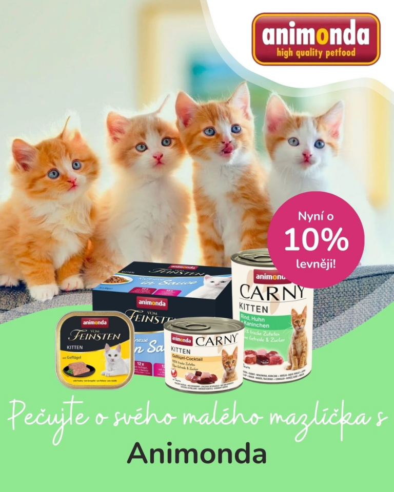 [Oferta specjalna] Szczenięta i kocięta Animonda