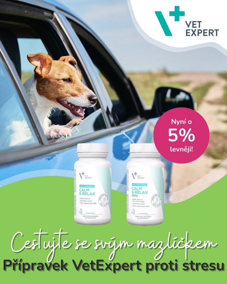[OFERTA SPECJALNA] Kwiecień Podróż z pupilem VetExpert
