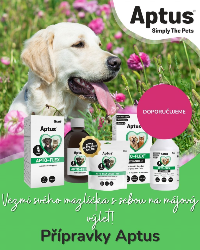 [OFERTA SPECJALNA] Majówka z pupilem