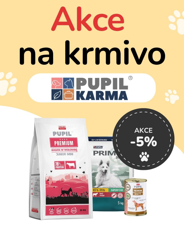 [OFERTA SPECJALNA] Październik - Pupil