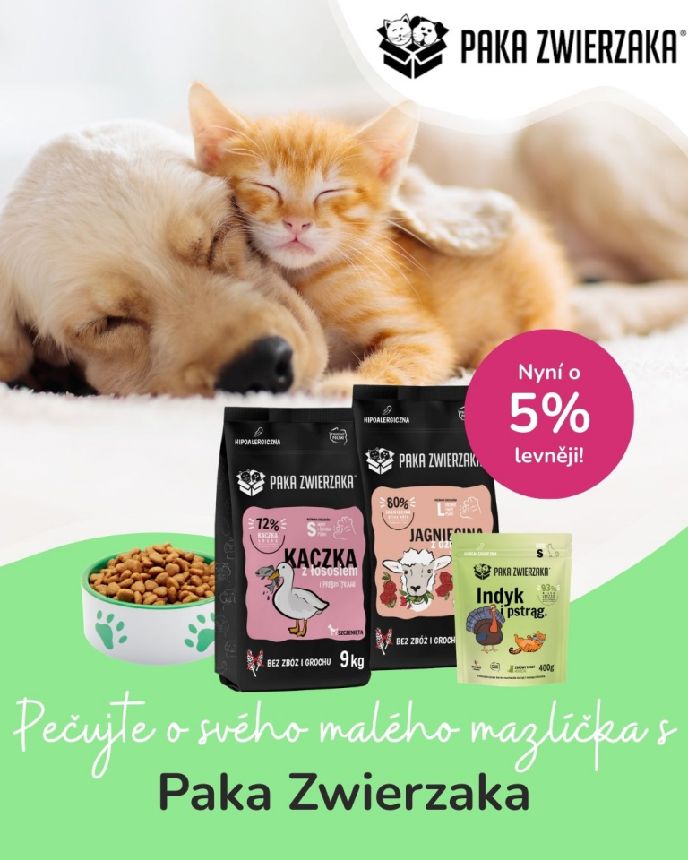 [Oferta specjalna] Szczenięta i kocięta Paka Zwierzaka