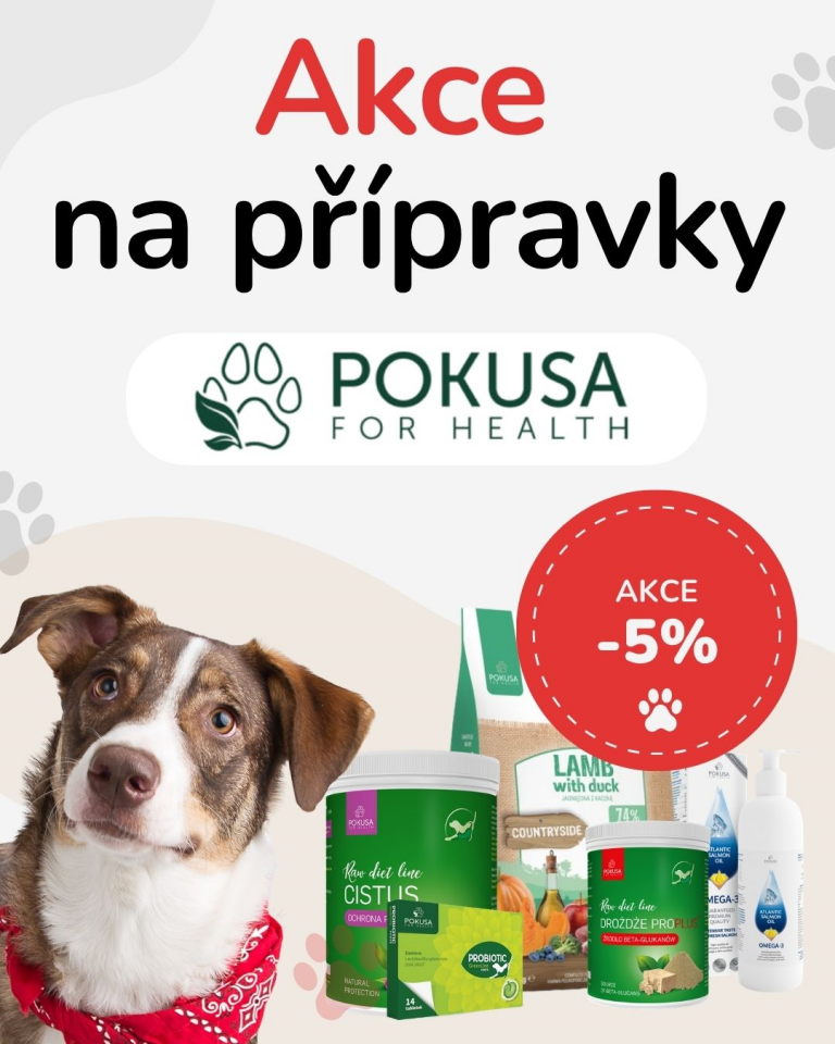 OFERTA SPECJALNA Sierpień Pokusa