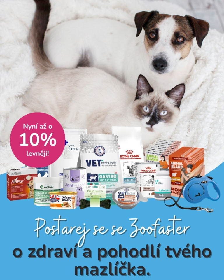 [OFERTA SPECJALNA] Maj Dzień praw zwierząt