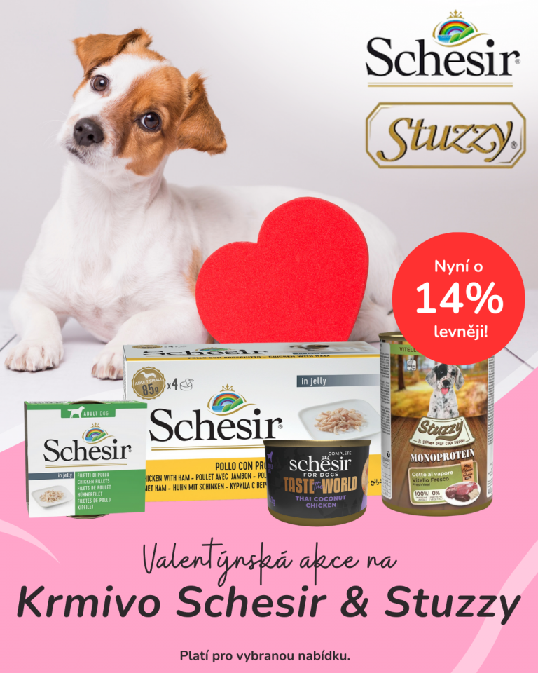 [OFERTA SPECJALNA] Luty - Schesir