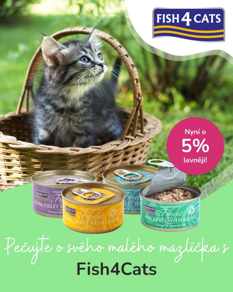 [Oferta specjalna] Szczenięta i kocięta Fish4cats