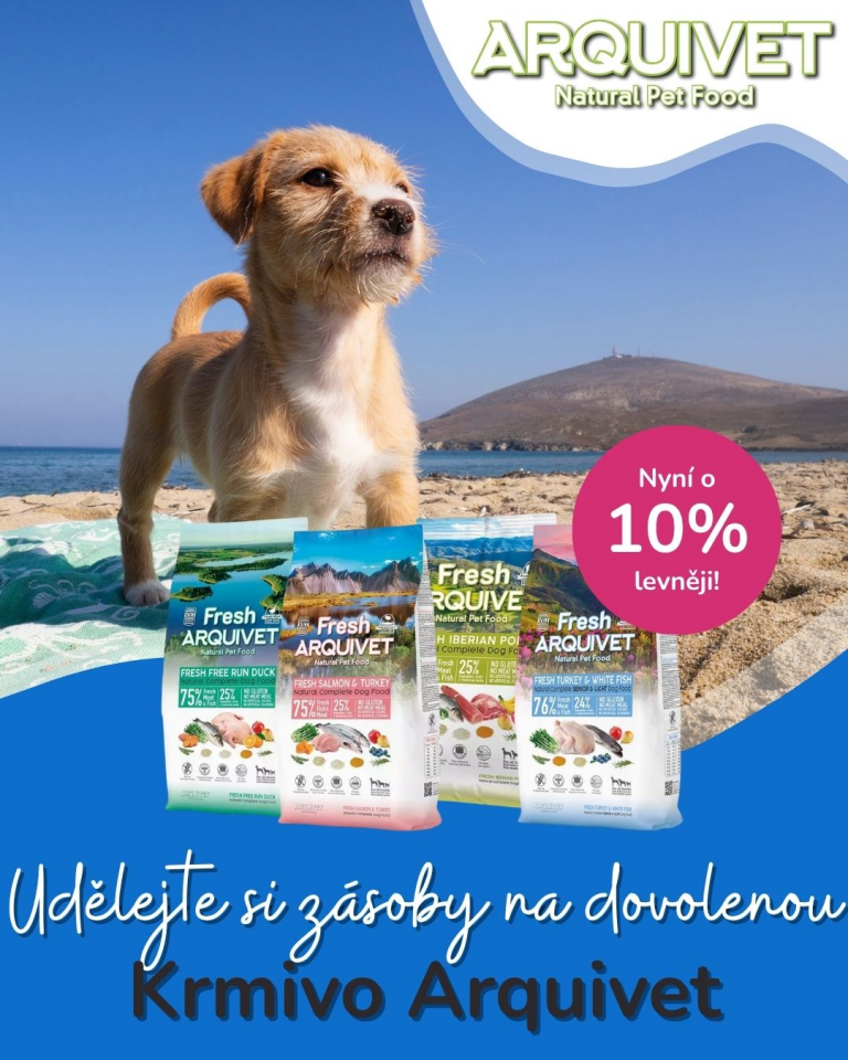 [OFERTA SPECJALNA] Czerwiec Arquivet